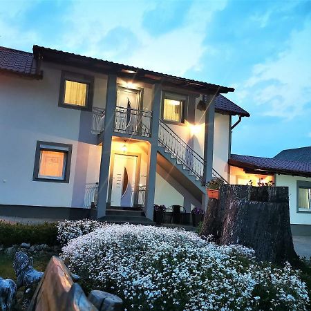 Guesthouse Samolov Vrhovine Buitenkant foto