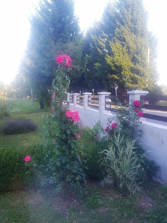 Guesthouse Samolov Vrhovine Buitenkant foto