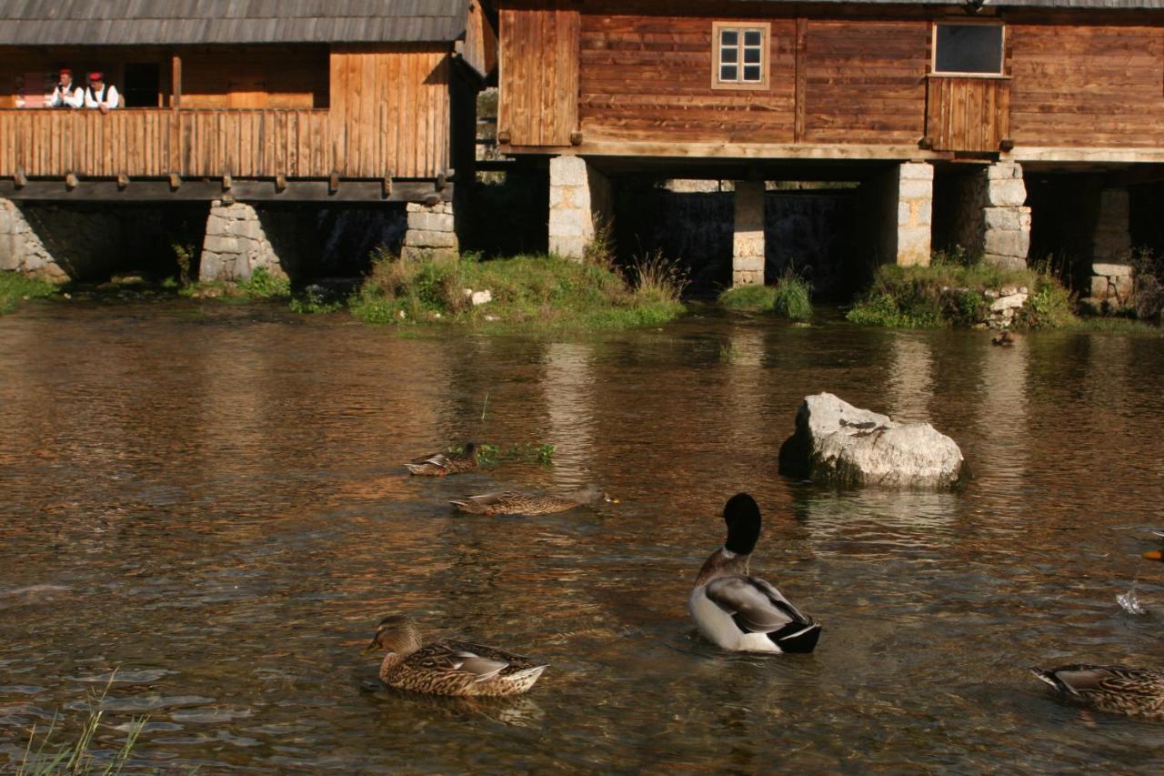 Guesthouse Samolov Vrhovine Buitenkant foto